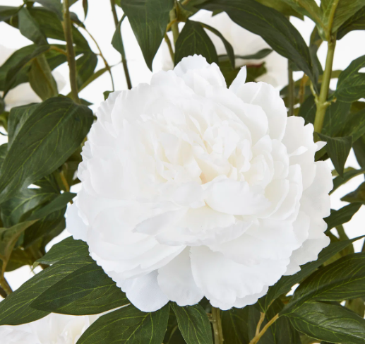 Lifelike Artificial Potted Plants and Flowers Realistic Greenery and Vibrant Blooms in Stylish Pots