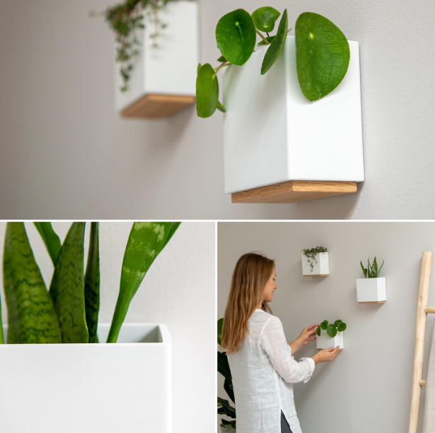 Wall Mounted Plant Pots Set of 3 – Resin Hanging Flower Pots