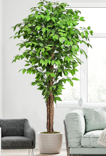 Artificial Ficus Tree – Silk Ficus Plant with Realistic Leaves