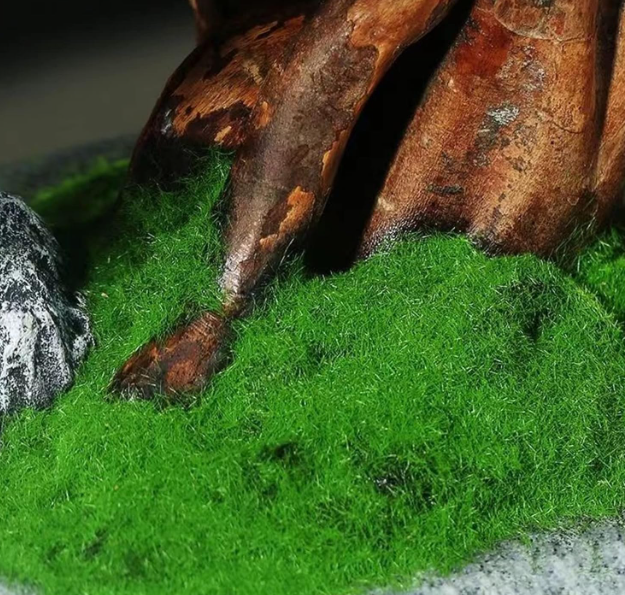Faux Plants Indoor – Artificial Bonsai Tree