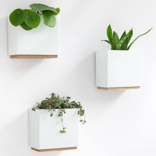 Wall Mounted Plant Pots Set of 3 – Resin Hanging Flower Pots