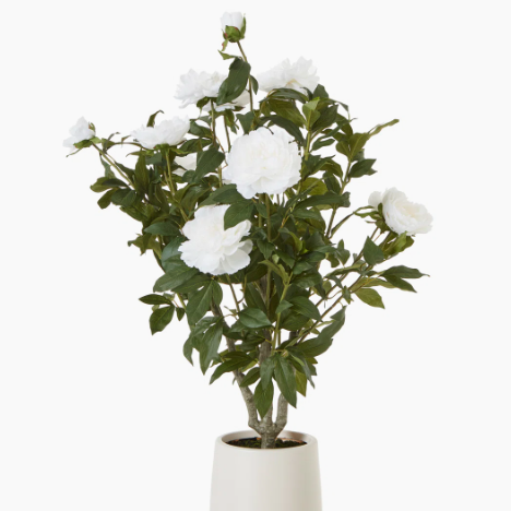 Lifelike Artificial Potted Plants and Flowers Realistic Greenery and Vibrant Blooms in Stylish Pots