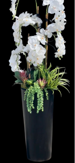 Tall Artificial White Orchid Display, 175cm in Plastic Planter