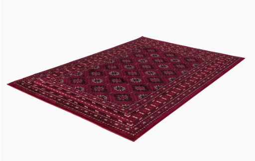 Modern and Classic Design for Home Decor Oriental Area Rug
