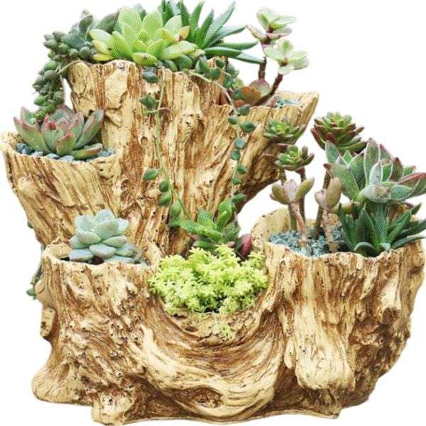 Driftwood Plant Pot – Rustic Resin Flower