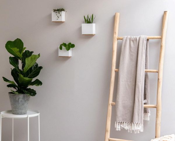 Wall Mounted Plant Pots Set of 3 – Resin Hanging Flower Pots