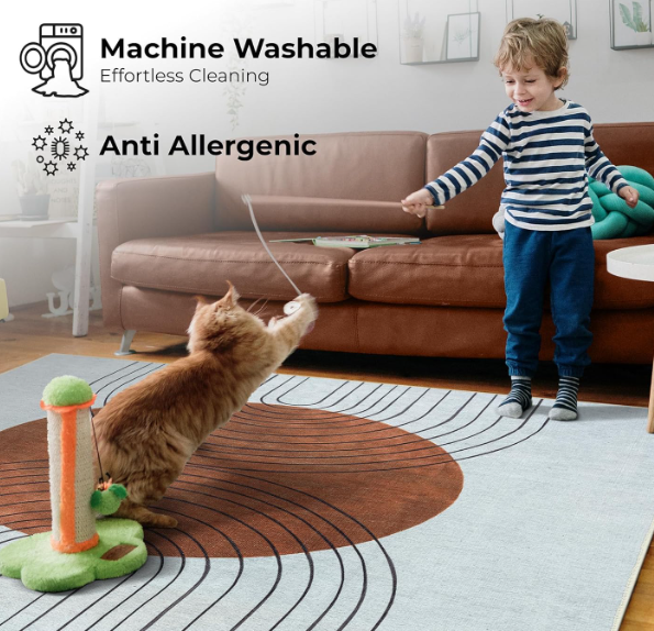 Machine Washable Rug – Non Slip Cotton Area Rug - Image 2